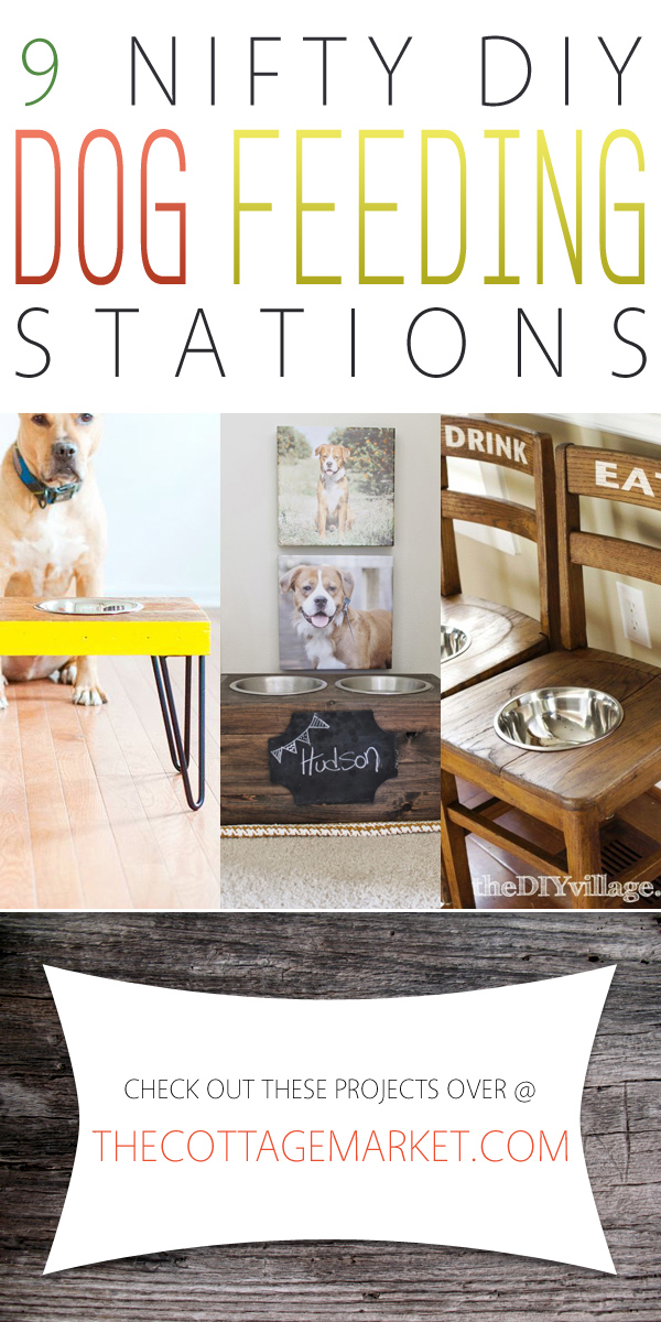 It's a special day today...It's National Dog Day and we are celebrating with Dog DIYS, Treats, Toys, Coats & More National Dog Day Rocks...Hugs to the pups