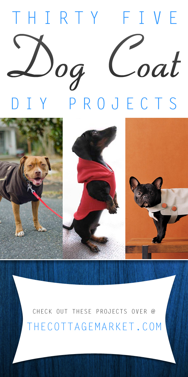 It's a special day today...It's National Dog Day and we are celebrating with Dog DIYS, Treats, Toys, Coats & More National Dog Day Rocks...Hugs to the pups