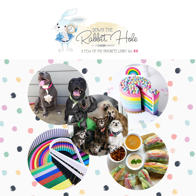 It's a special day today...It's National Dog Day and we are celebrating with Dog DIYS, Treats, Toys, Coats & More National Dog Day Rocks...Hugs to the pups