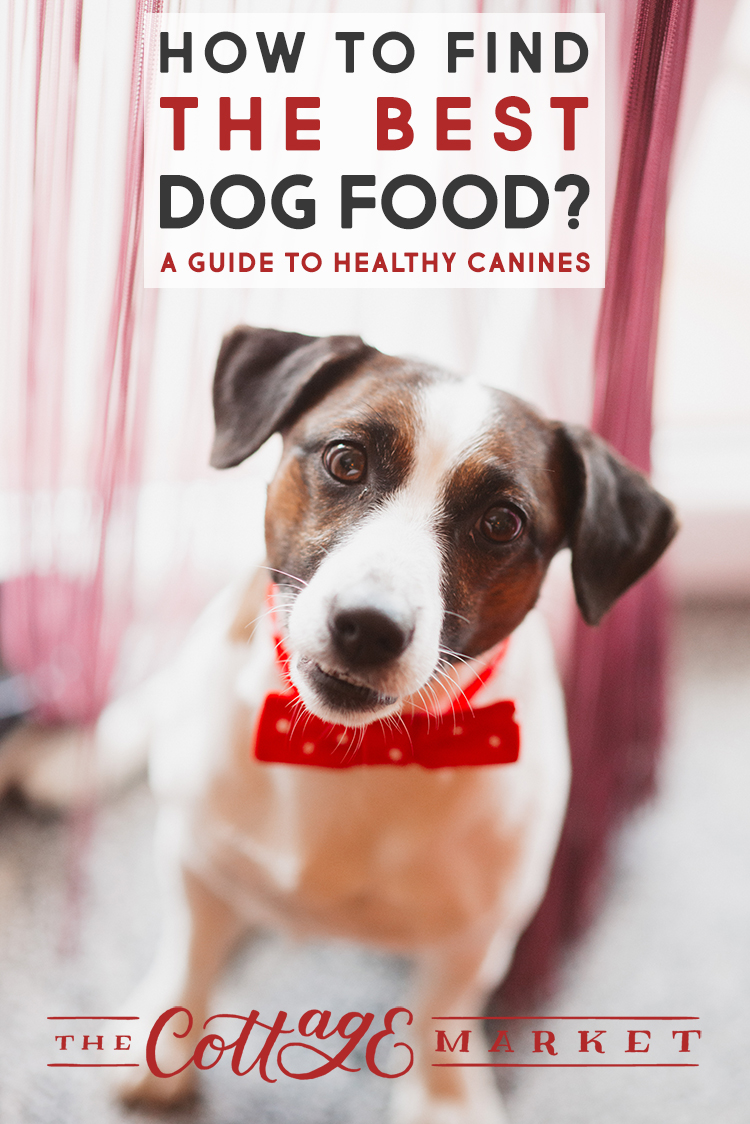 It's a special day today...It's National Dog Day and we are celebrating with Dog DIYS, Treats, Toys, Coats & More National Dog Day Rocks...Hugs to the pups