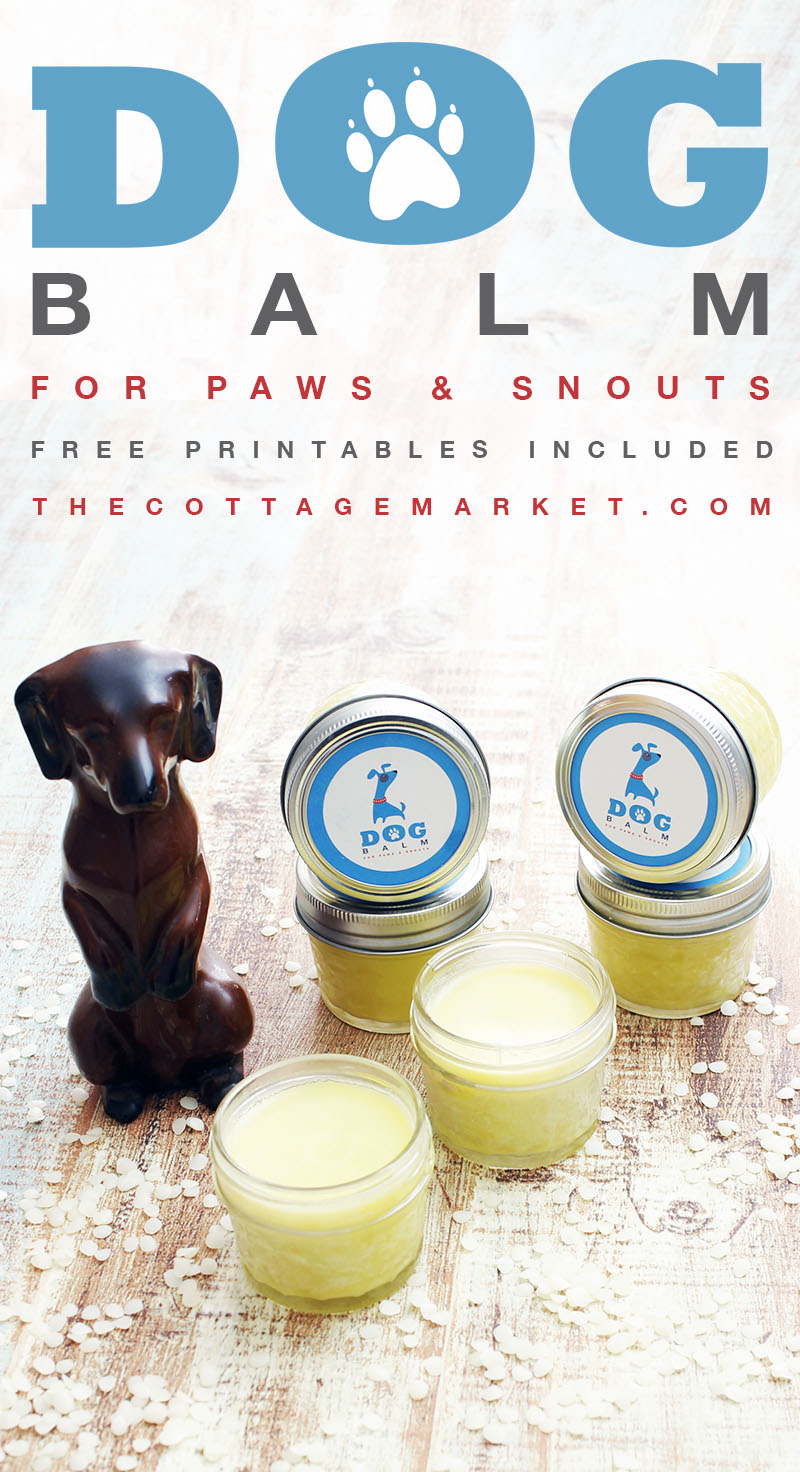 It's a special day today...It's National Dog Day and we are celebrating with Dog DIYS, Treats, Toys, Coats & More National Dog Day Rocks...Hugs to the pups