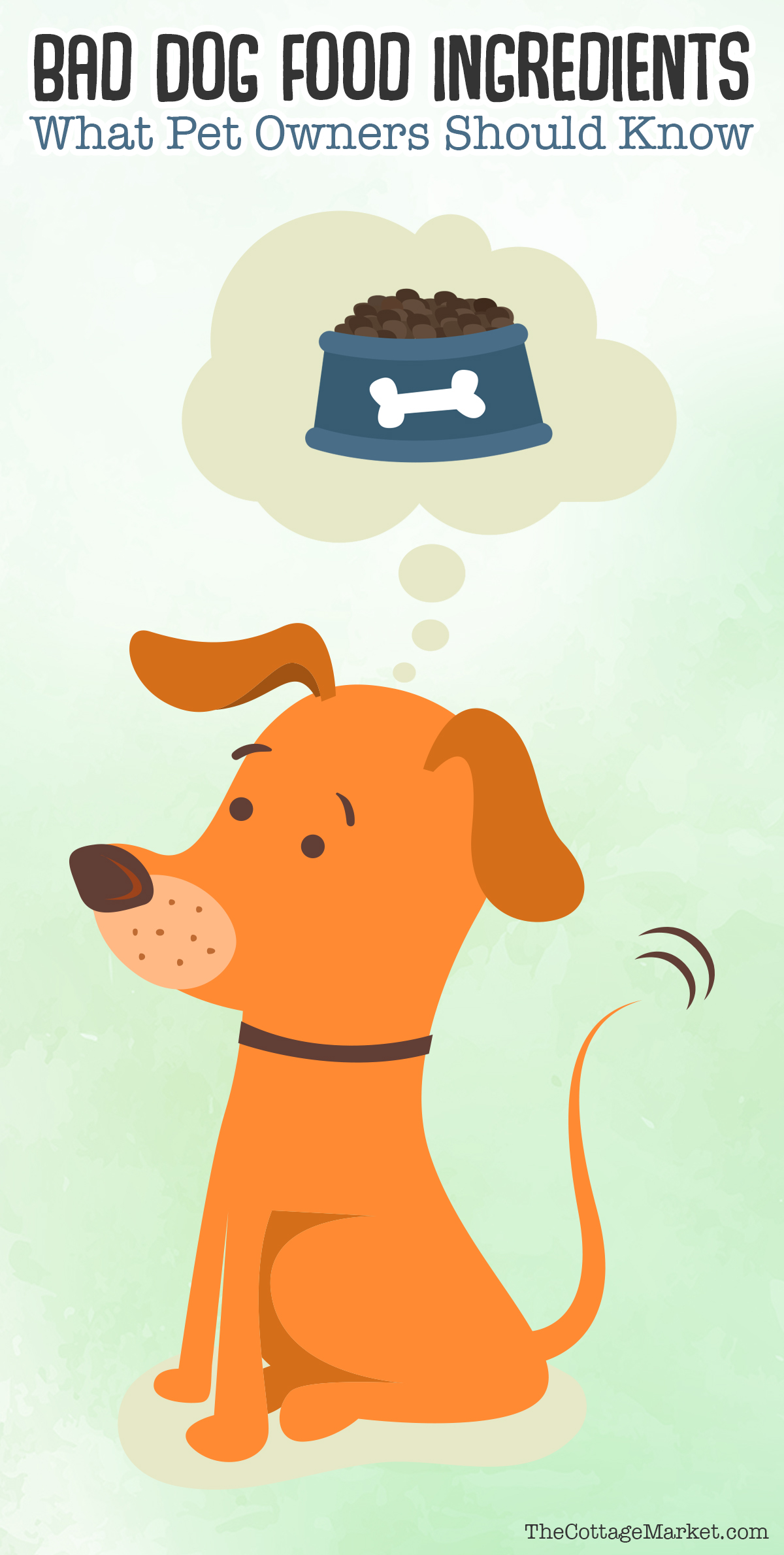 It's a special day today...It's National Dog Day and we are celebrating with Dog DIYS, Treats, Toys, Coats & More National Dog Day Rocks...Hugs to the pups