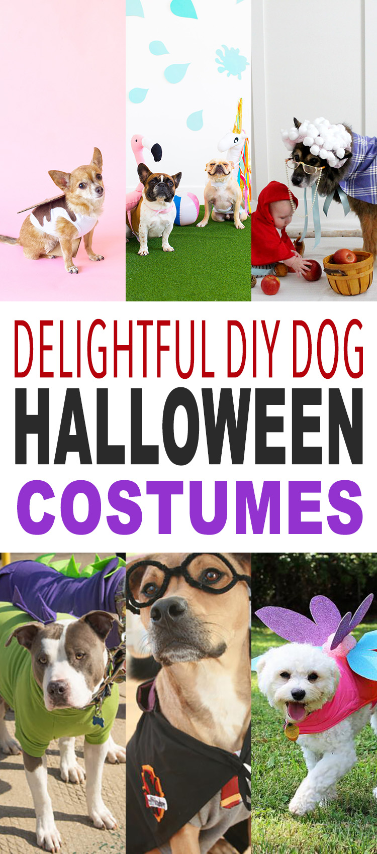 It's a special day today...It's National Dog Day and we are celebrating with Dog DIYS, Treats, Toys, Coats & More National Dog Day Rocks...Hugs to the pups