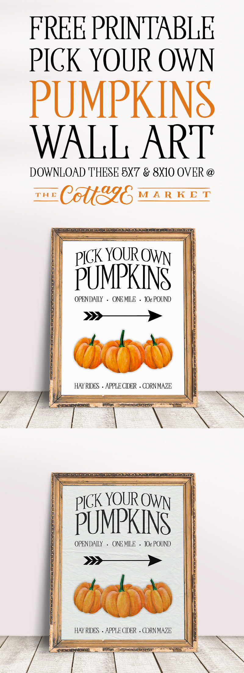 Come and join us and check out some New and Fantastic Farmhouse Decor DIYS and Ideas today! If you adore the Farmhouse Style...prepare to fall in love!