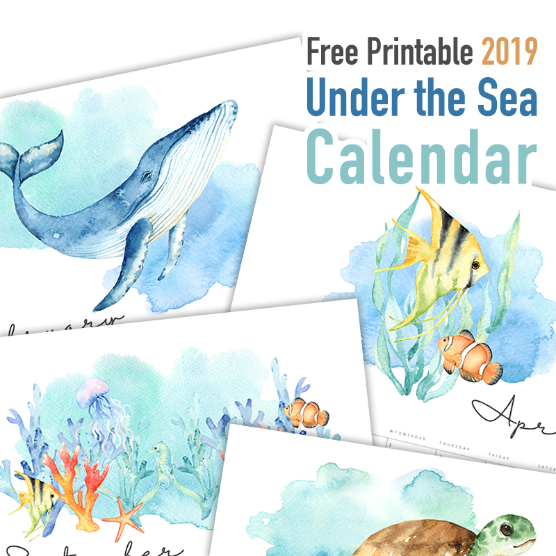 The Best Free Printable 2019 Calendars are waiting for you! Come and print the ones that you love and created your own personal Calendars for the New Year!