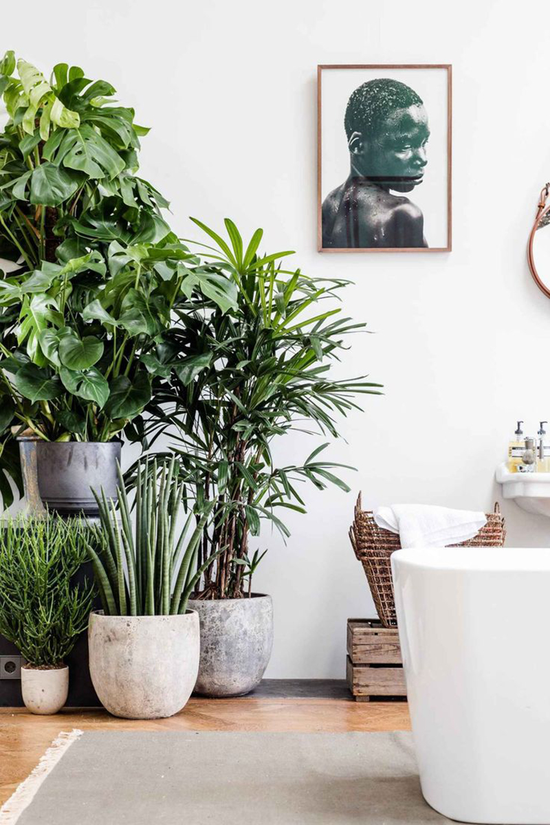 If you want to check out What's Trending In Home Decor Right now... come and take a peek at a few hot trends I think you will enjoy!