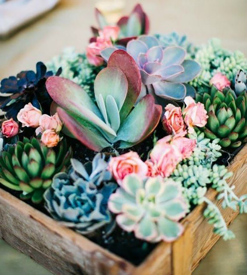 If you want to check out What's Trending In Home Decor Right now... come and take a peek at a few hot trends I think you will enjoy!