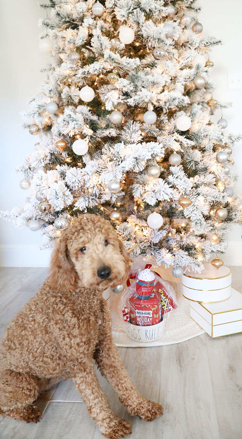 Check out these DIY Pet Gifts Your Furbaby Will Love! You will be surprised how easy these are to make and how much your pets will adore playing with them.