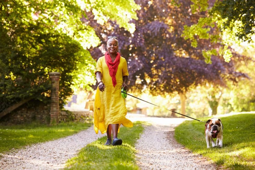 These Tips for Keeping Your Furry Friends Happy This Summer are quick and oh so easy! We all want the very best for our Pups!