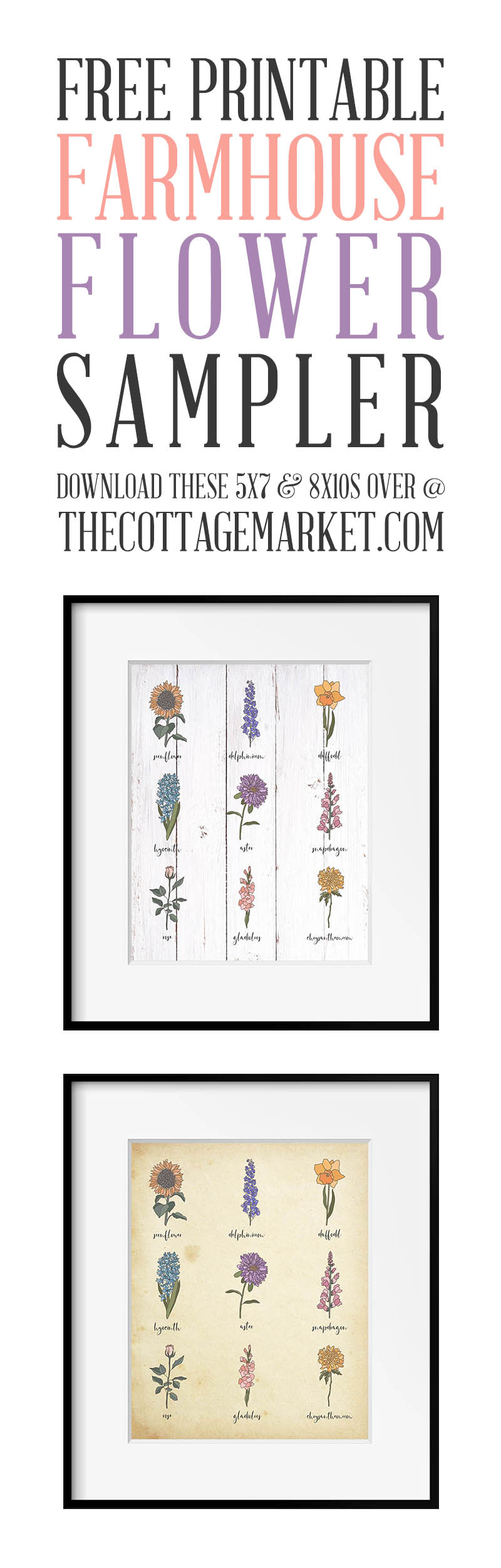 Free Printable Farmhouse Flower Sampler - The Cottage Market