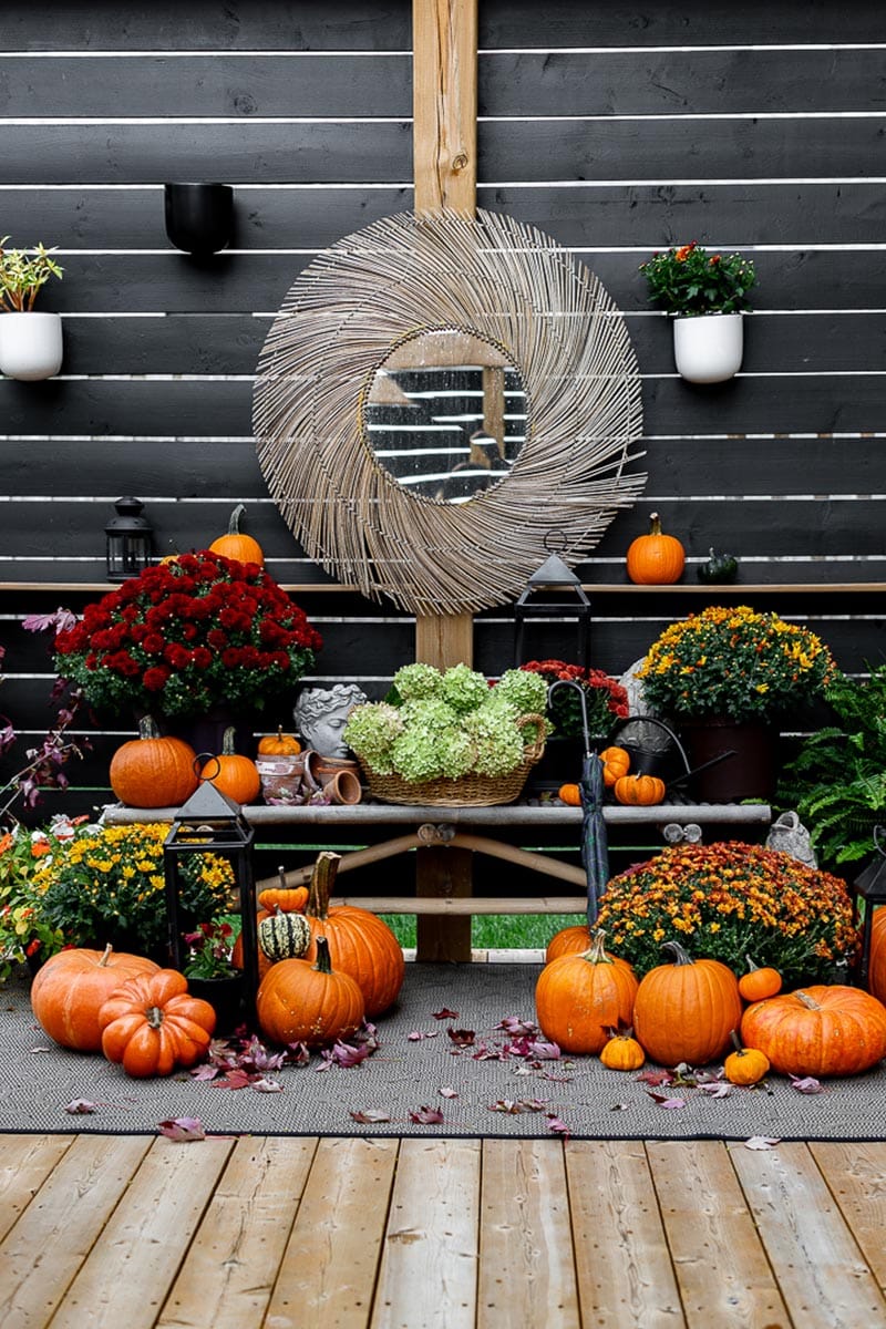Fabulous and Fresh Farmhouse DIYS and Ideas are waiting to inspire you to create. All the newest projects in the Farmhouse World all in one place to enjoy!