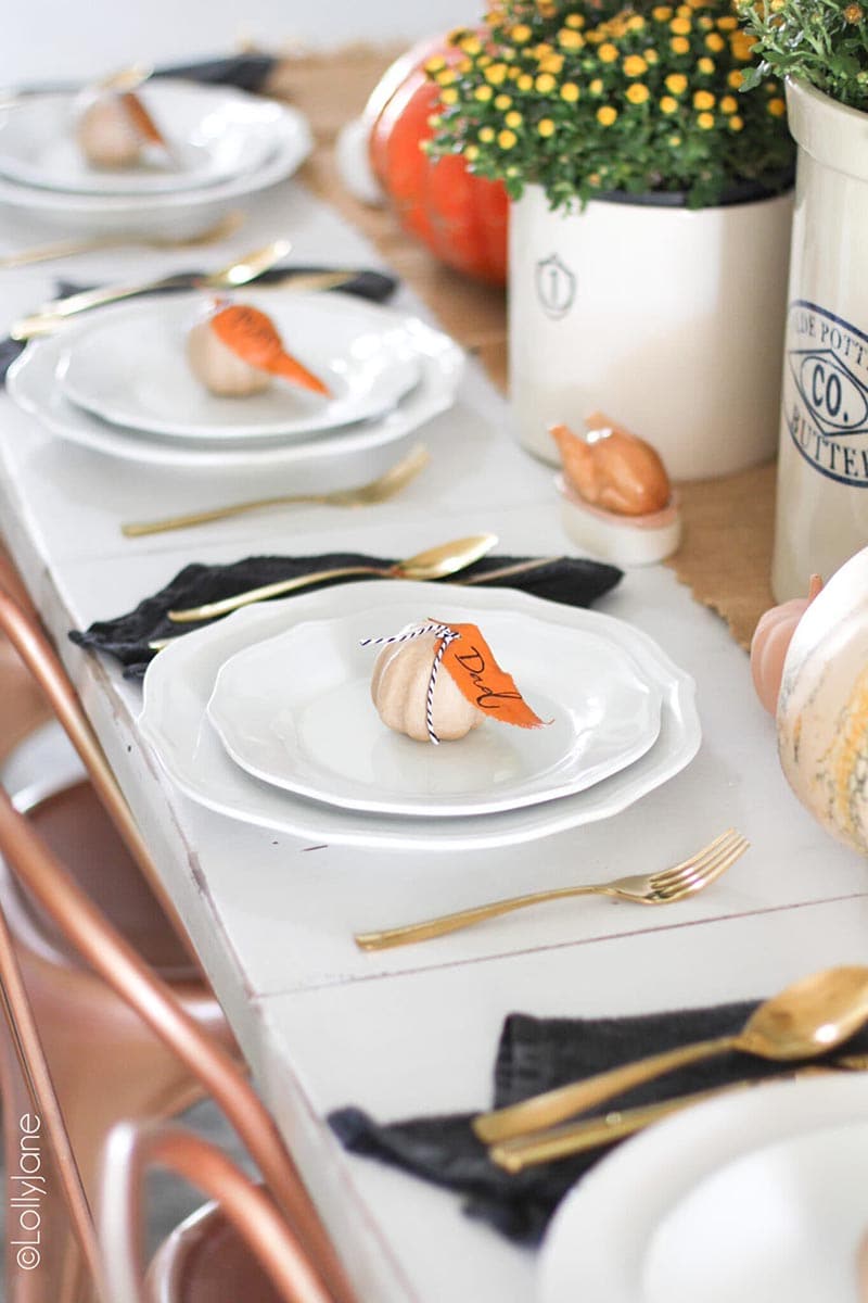 These 30 Minute or Less Fall Farmhouse Crafts just might be what you are looking for to add that last minute touch of Fall Farmhouse Charm to your space!