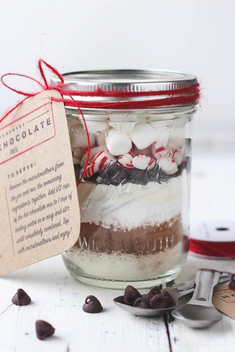 These are some of the Best Mason Jar Food Gifts Ever!!!! So easy to put together and there is something that will make everyone on your list happy!