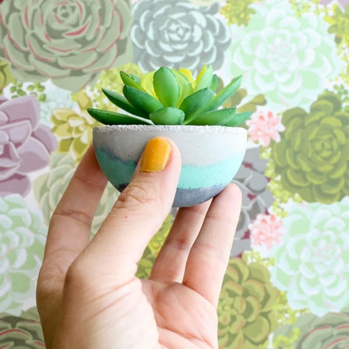 DIY Concrete Planters That Joanna Gaines Would Love! The Cottage Market