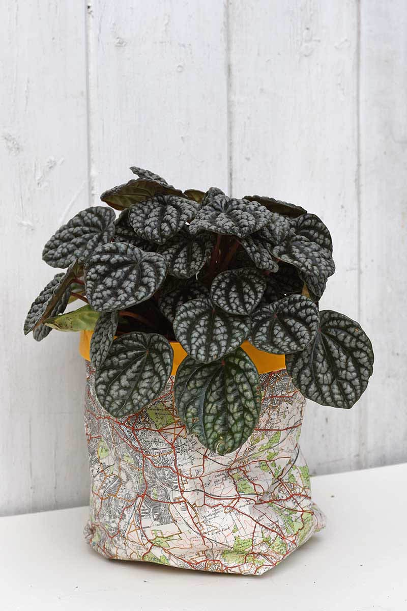 Do you know what it is time for? Fresh and Trendy DIY Crafts To Make This Weekend of course. Tons of inspirational Crafts are waiting for you to choose from. One is perfect to make this weekend!