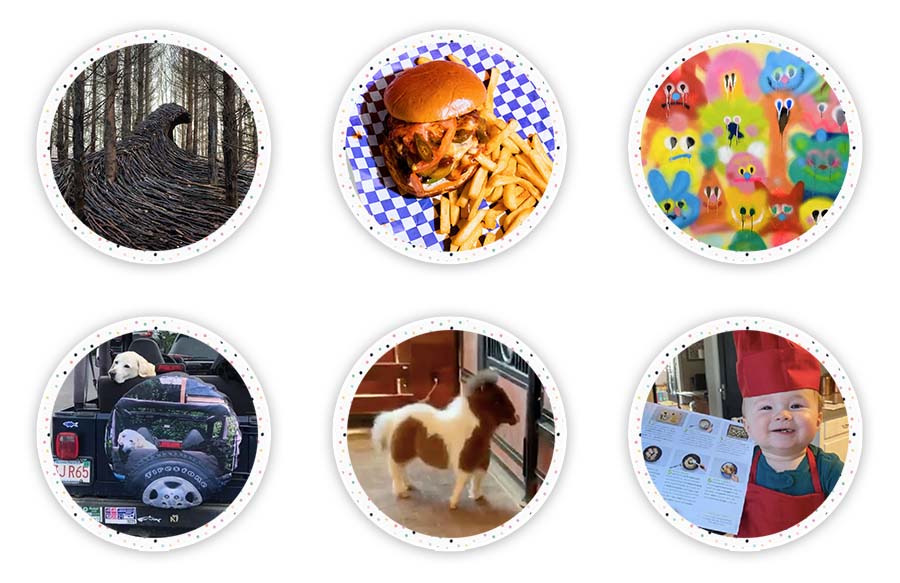 Down the Rabbit Hole Where Fun Links & Pet Rescues Meet. A great place to enjoy interesting links and also help out Pet Rescues all over the world!