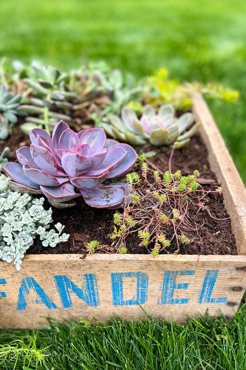 Do you know what it is time for? Fresh and Trendy DIY Crafts To Make This Weekend of course. Tons of inspirational Crafts are waiting for you to choose from. One is perfect to make this weekend!