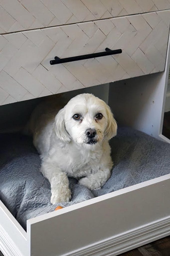 The Ultimate Collection of IKEA Hacks For Pets The Cottage Market