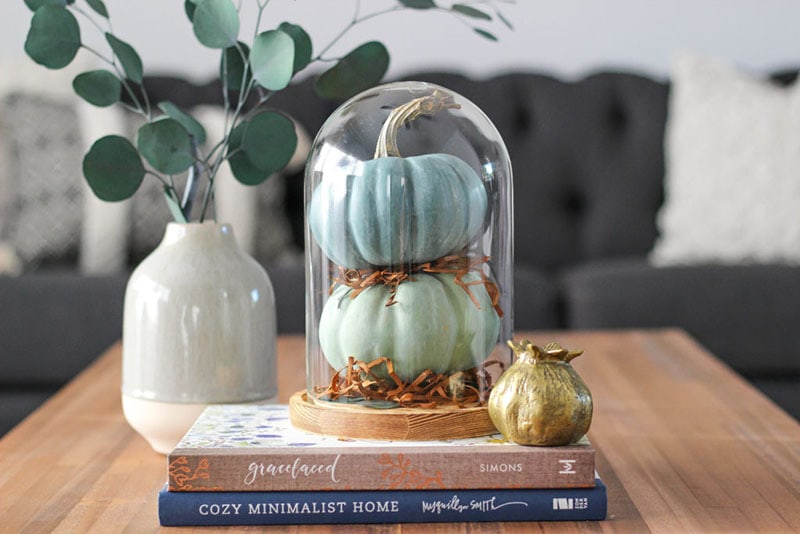 I think you are going to find these Quick and Easy Tips To Transition Your Home To Fall inspirational and oh so simple and budget friendly!
