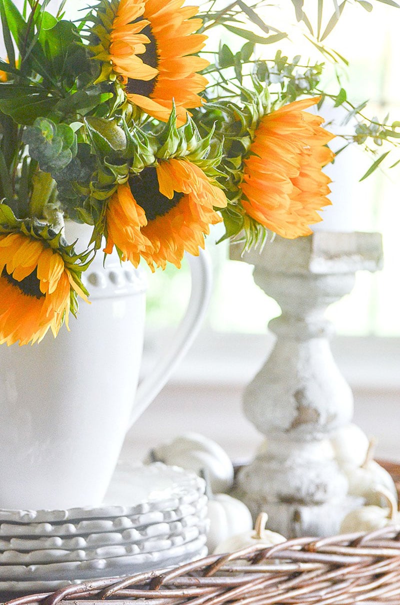 I think you are going to find these Quick and Easy Tips To Transition Your Home To Fall inspirational and oh so simple and budget friendly!