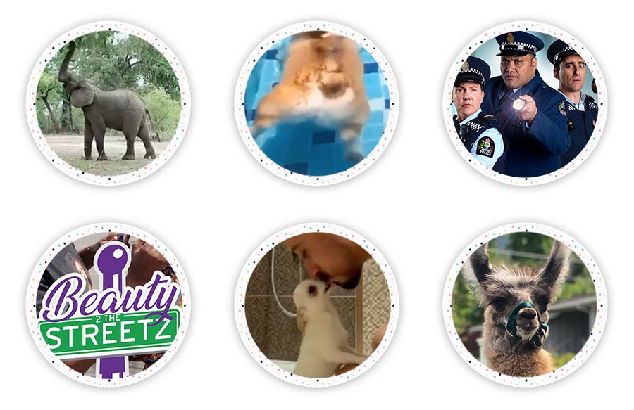 Down the Rabbit Hole Where Fun Links & Pet Rescues Meet. A great place to enjoy interesting links and also help out Pet Rescues all over the world!