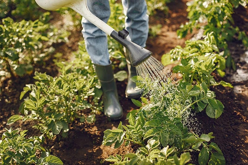 Come and check out these Innovative Ways to Create Urban Green Spaces, from Gardening to Community Green Spaces and much more. We only have one Earth.