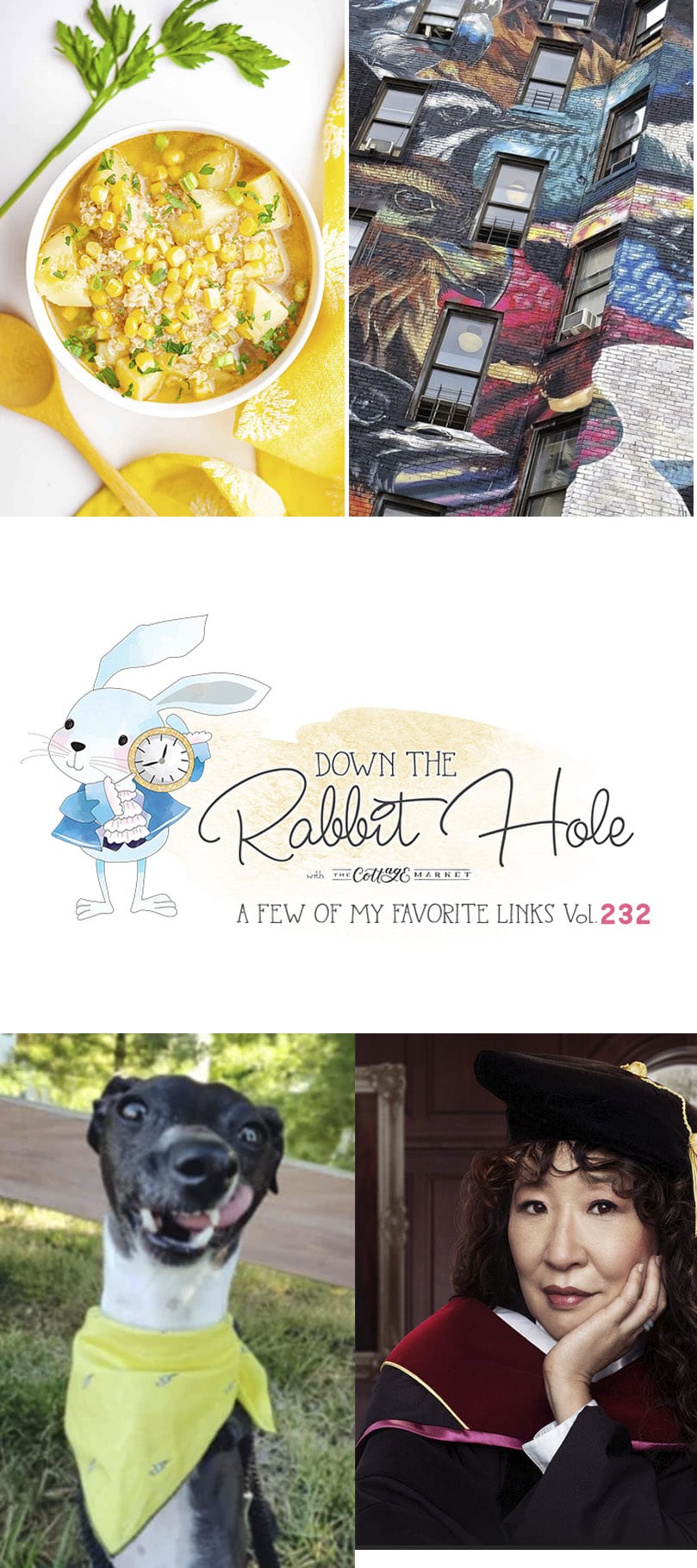 Down the Rabbit Hole Where Fun Links & Pet Rescues Meet. A great place to enjoy interesting links and also help out Pet Rescues all over the world!