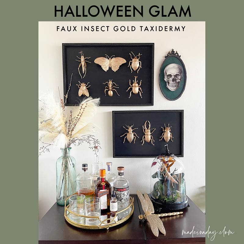 Here’s a collection of some Fun Trendy DIY Fall Crafts that Everyone Can Make. A whole lot of Fall and Halloween… and more!