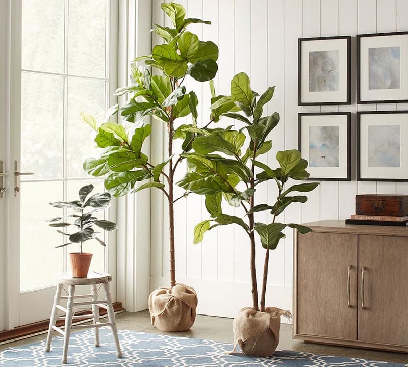 These Fabulous Pet & Kid Friendly Decorating Tips will make every day life a little bit easier for you and a lot more fun for the kids and pets!