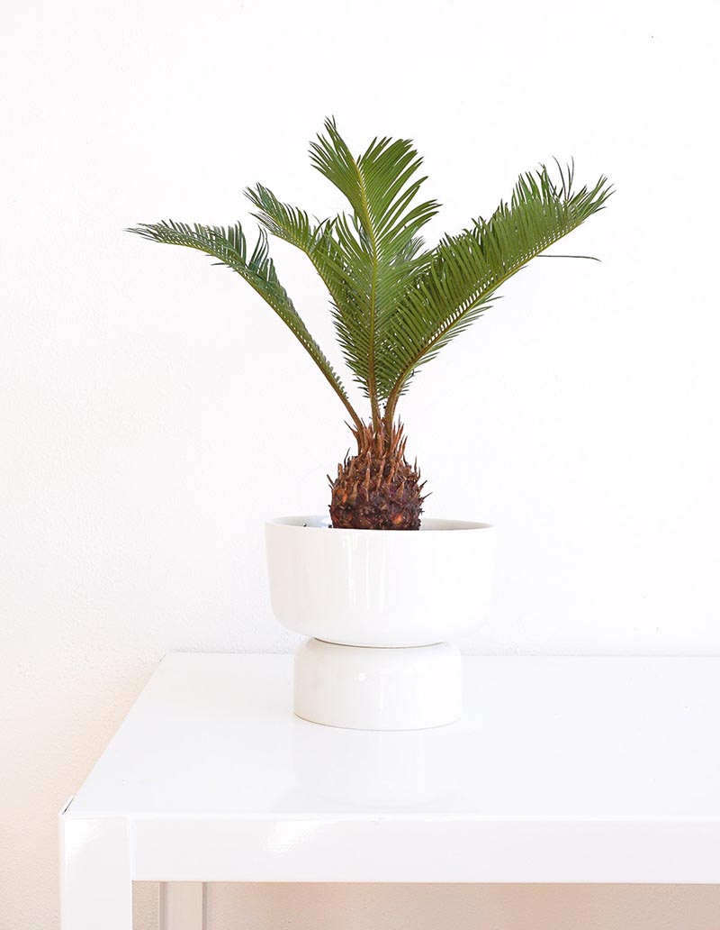 Gift Giving is a Breeze with these 65+ Handmade Gifts Family and Friends Will Want To Get!