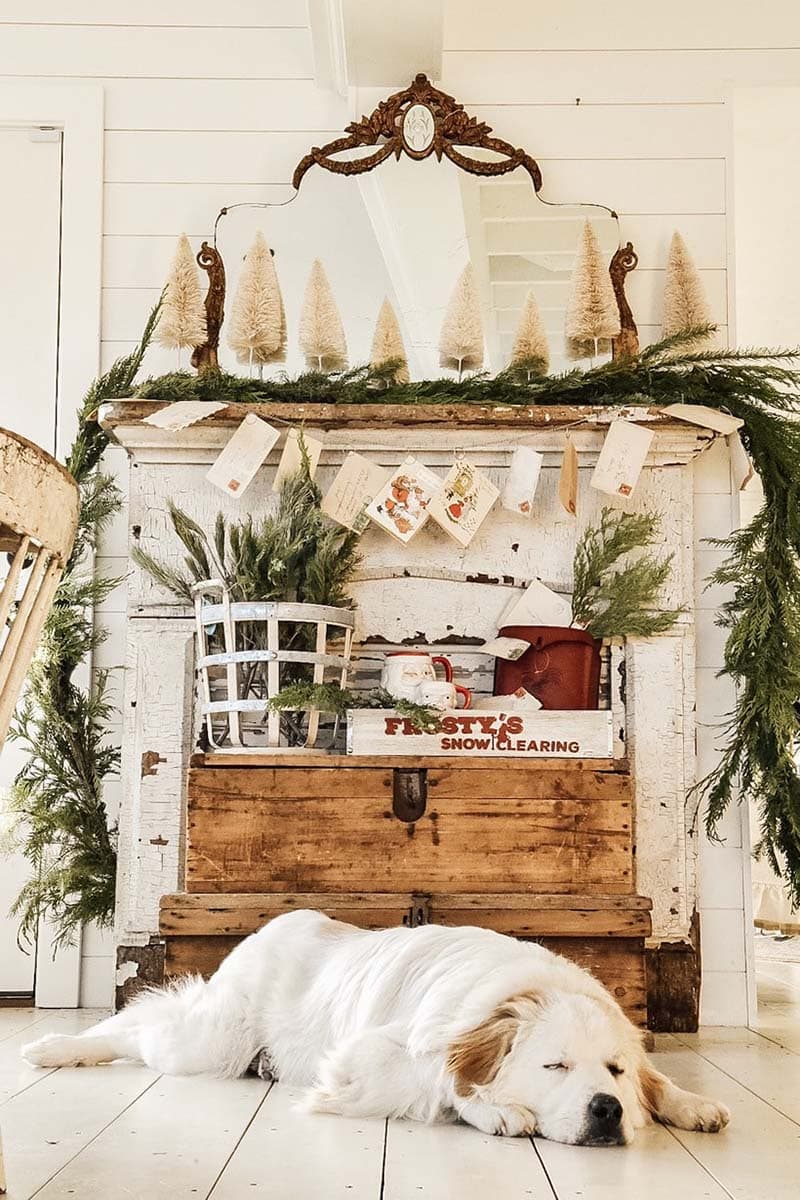 Check out these Hot and Fabulous Christmas Trends for 2021. From Nutcracker Trees to Houseplants Galore and more!