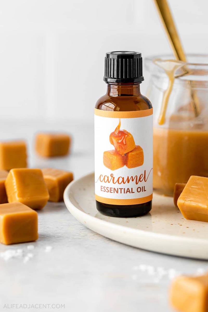 Do you know what it is time for? Fresh and Trendy DIY Crafts To Make This Weekend of course. Tons of inspirational Crafts are waiting for you to choose from. One is perfect to make this weekend!