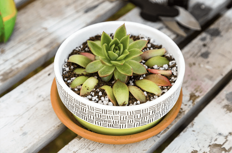 Enjoy A Morning Cup Of Joe Linky Party with DIY Features! Come and enjoy some wonderful features… check out new items on the party then share your creations!