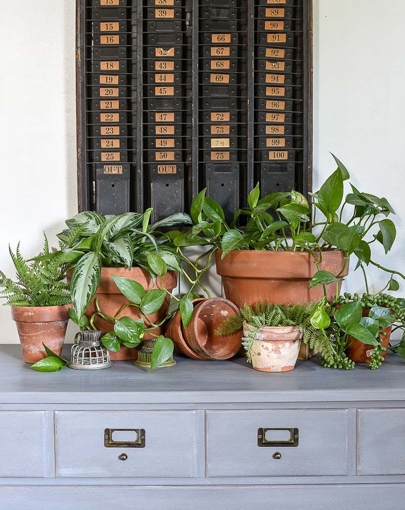 Fabulous and Fresh Farmhouse DIYS and Ideas are waiting to inspire you to create. All the newest projects in the Farmhouse World all in one place to enjoy!
