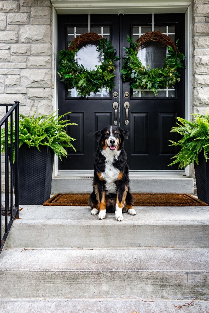 These DIY Summer Farmhouse Wreath Ideas add Freshness and Fun to any space in your home including the place of honor… on your front door.