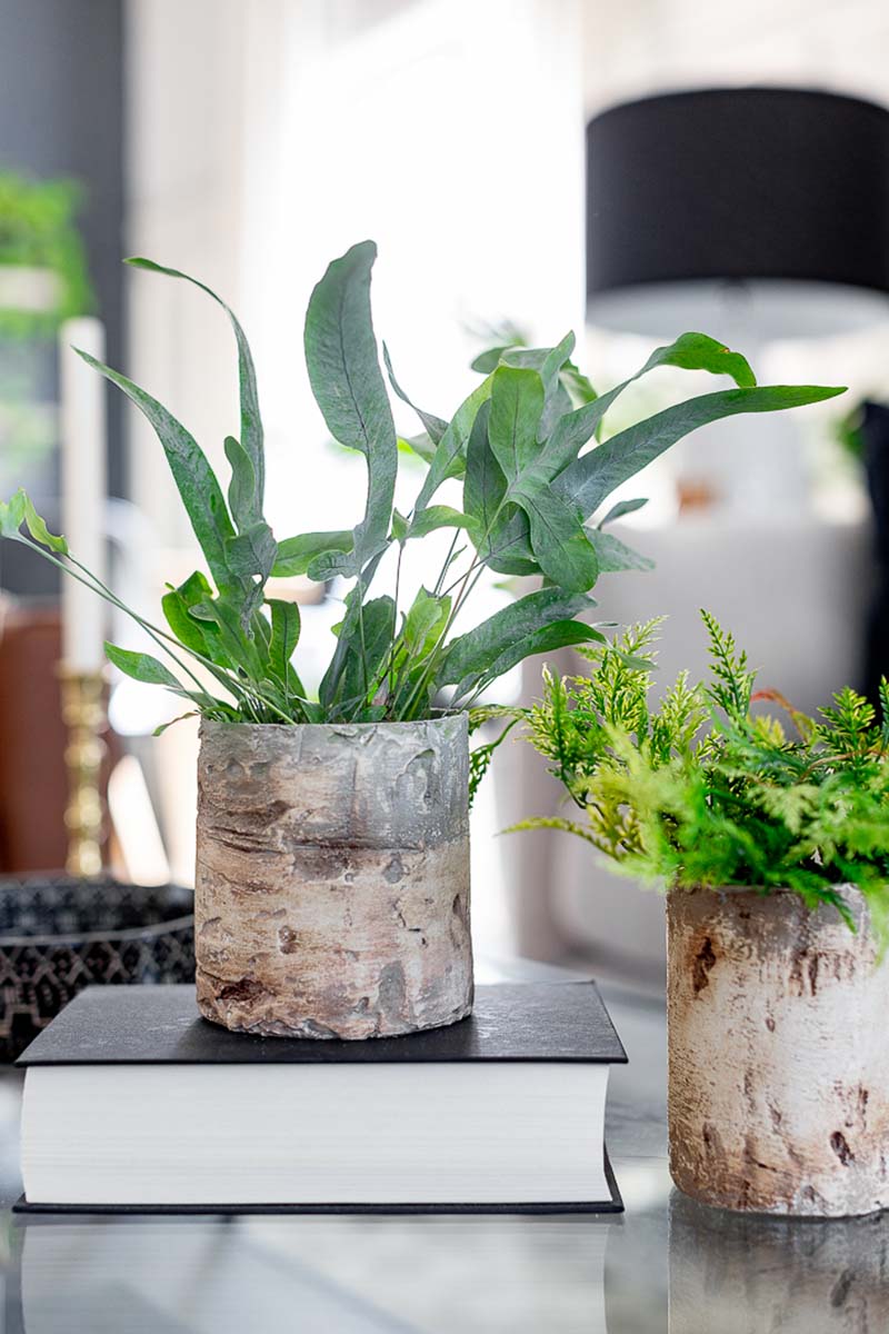 This collection of The Best Farmhouse Craft Projects of 2022 Part 1 are incredible! They are all waiting for you to check out and then take those tutorials and sore! So much creative goodness waiting to happen!