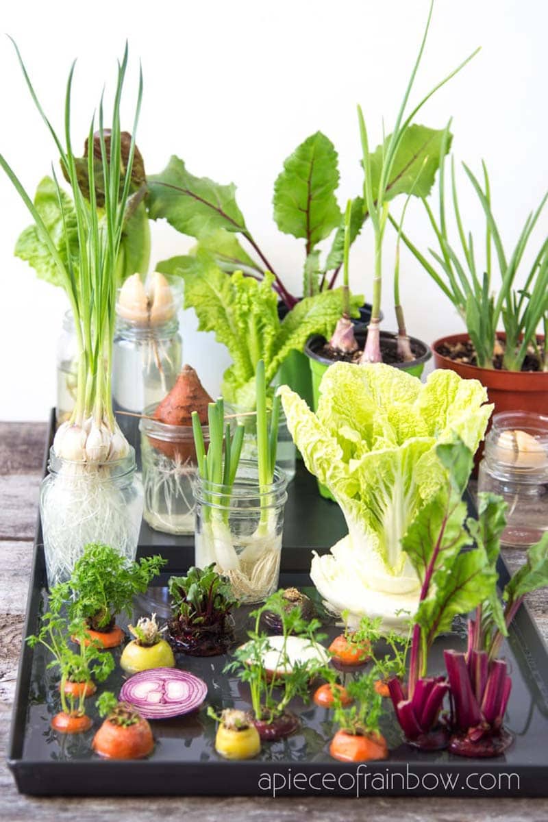 Do you know what it is time for? Fresh and Trendy DIY Crafts To Make This Weekend of course. Tons of inspirational Crafts are waiting for you to choose from. One is perfect to make this weekend!