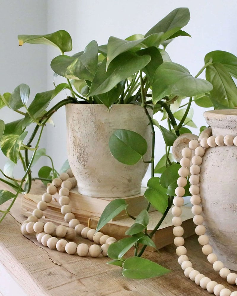 We've embarked on a treasure hunt for the most delightful Pottery Barn dupes that won't break the bank, allowing you to achieve that coveted aesthetic without sacrificing your hard-earned savings