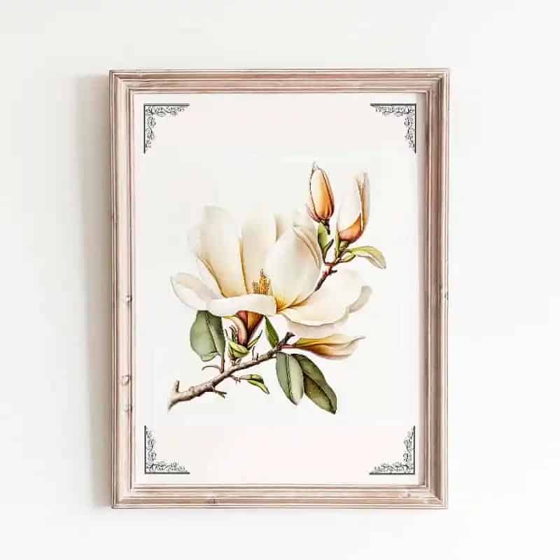 These Fabulous and Fresh Farmhouse DIYs and Ideas are just what you need for inspiration today! See what's happening in the world of Farmhouse Home Decor!