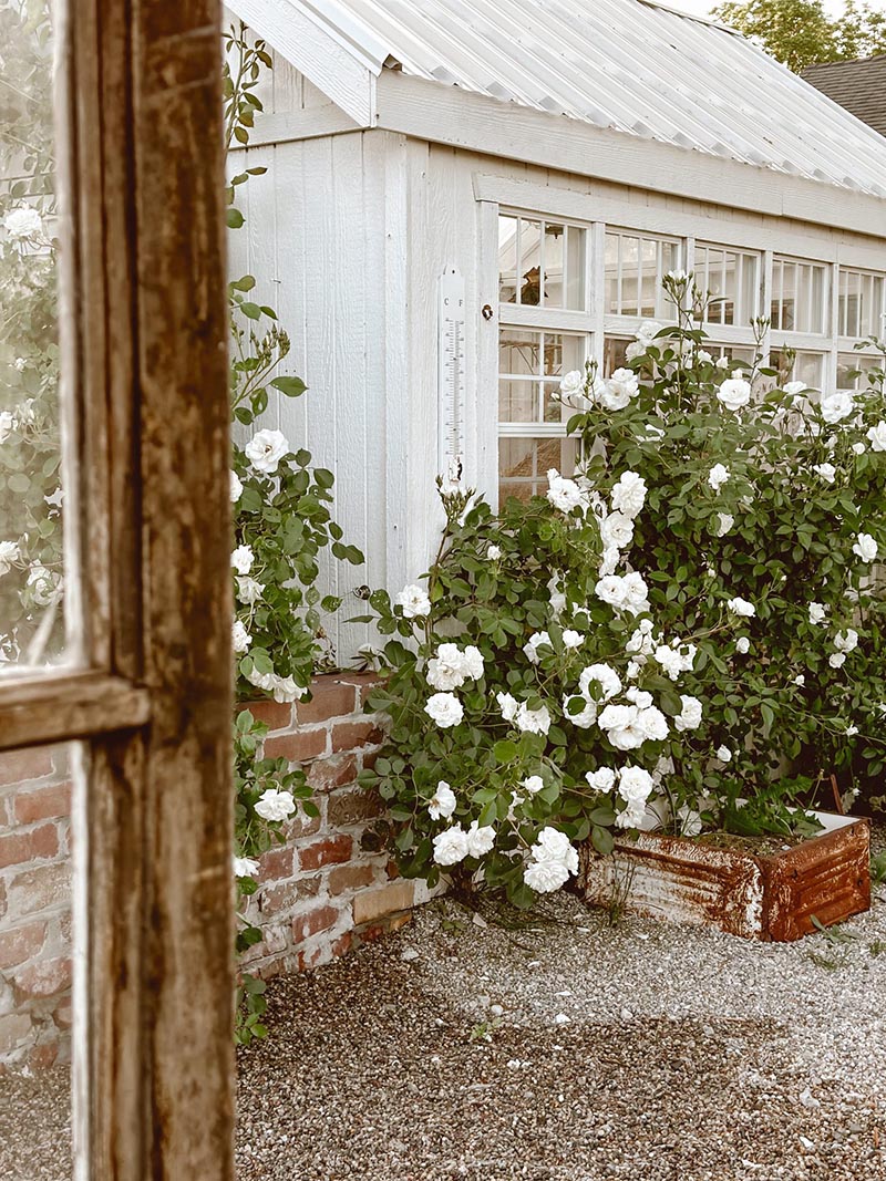 These Fabulous and Fresh Farmhouse DIYs and Ideas are just what you need for inspiration today! See what's happening in the world of Farmhouse Home Decor!