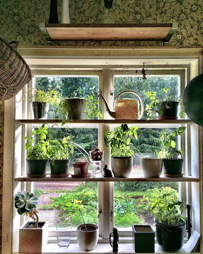 Transform your kitchen into a haven of rustic charm with these cozy Cottagecore ideas. 🌿🍽️ #Cottagecore #KitchenDecor #RusticCharm