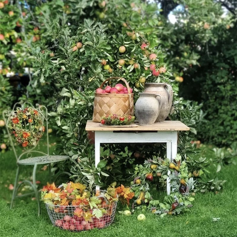 Explore creative farmhouse DIY home decor ideas and projects for a charming, rustic-inspired living space.