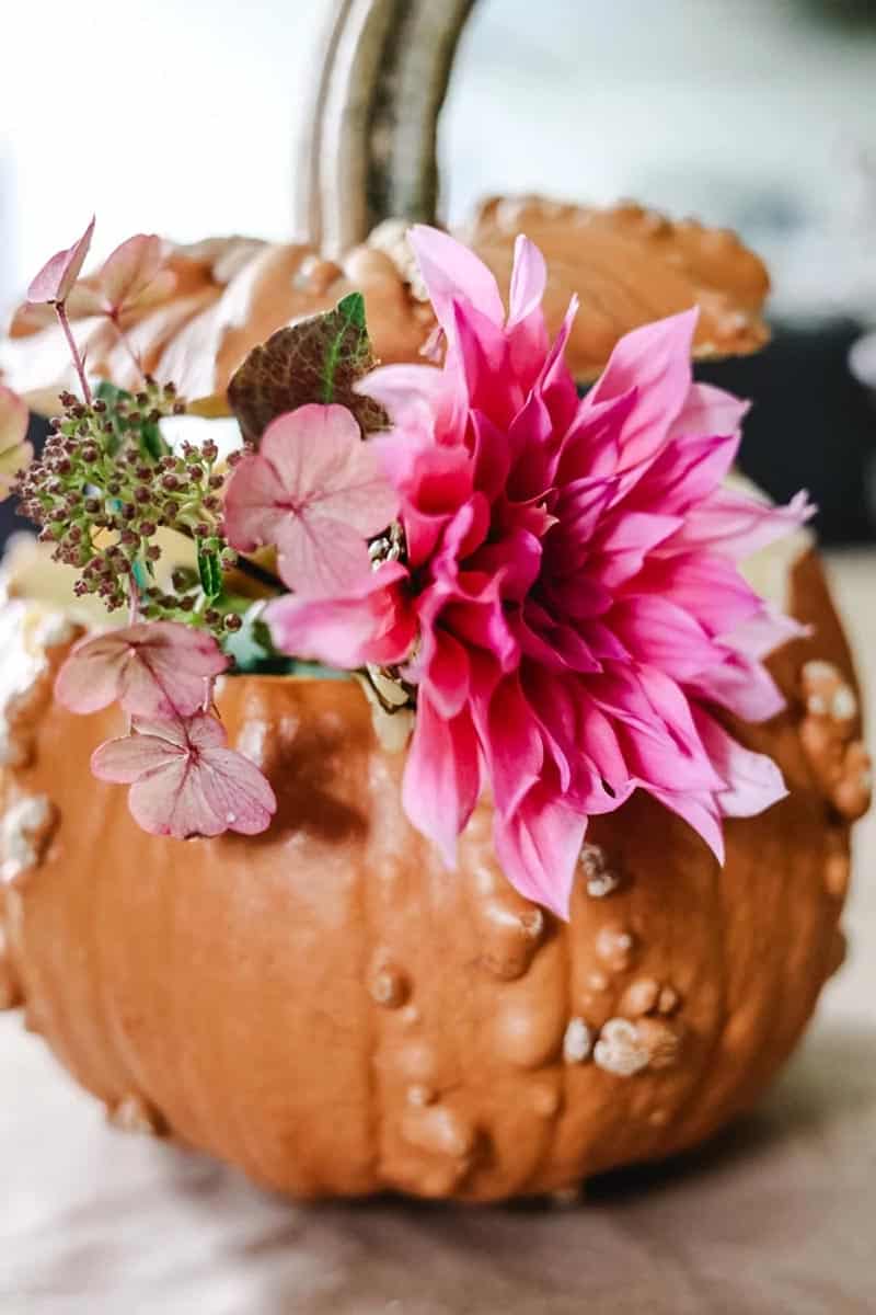 Discover 37 weekend DIY crafts, from fall flower arrangements to Harry Potter-themed delights, and unleash your creativity!