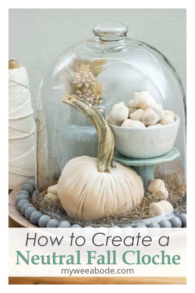 Explore DIY projects, recipes & home decor ideas in our weekly 'Morning Cup of Joe.' Creative inspiration awaits!