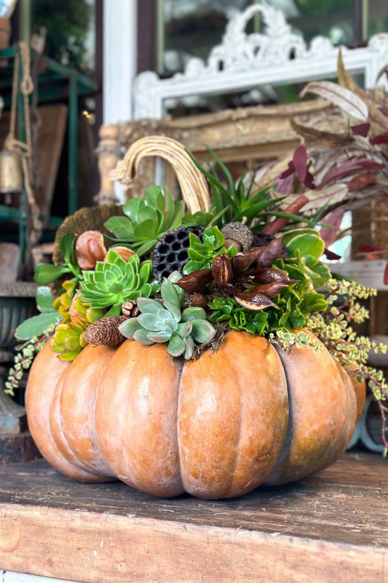 Get ready for autumn with 28 fresh and trendy Halloween & fall crafts! Easy, fun, and perfect for cozying up your home this season.