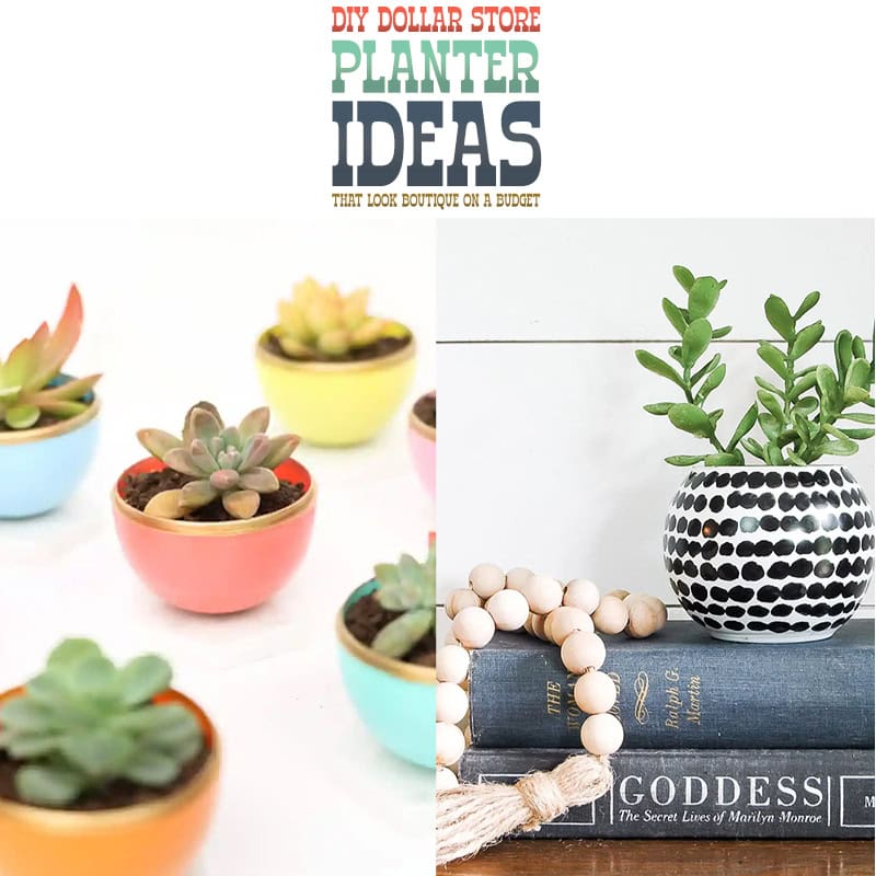 Delightful DIY Dollar Store Planters - The Cottage Market