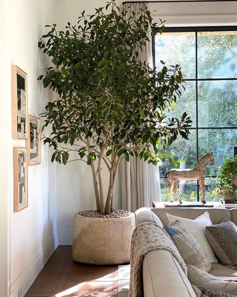 Bigger Is Better With Plants