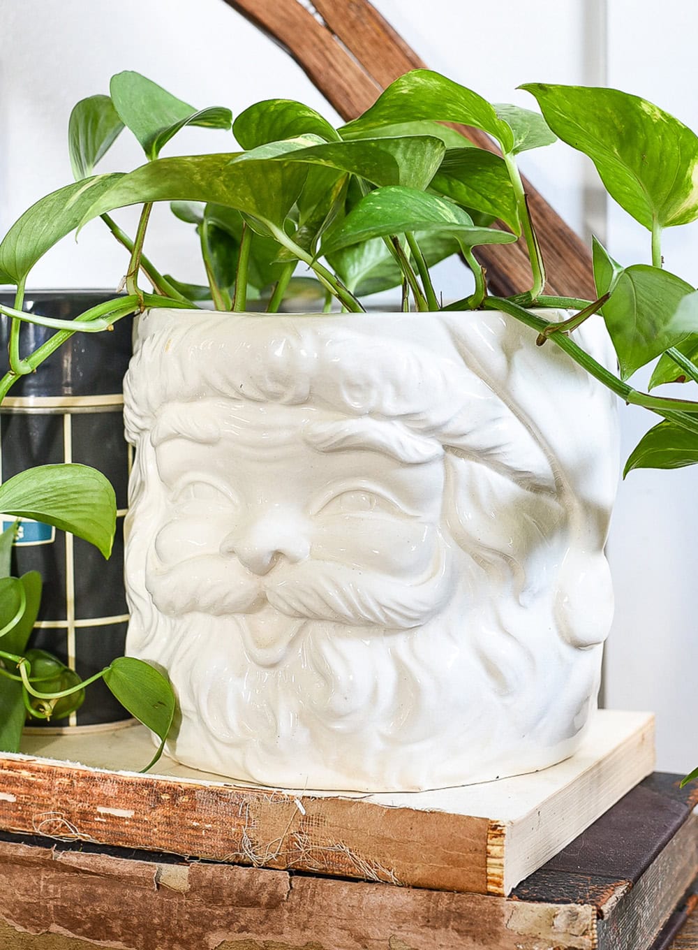 Pretty Plant Pots