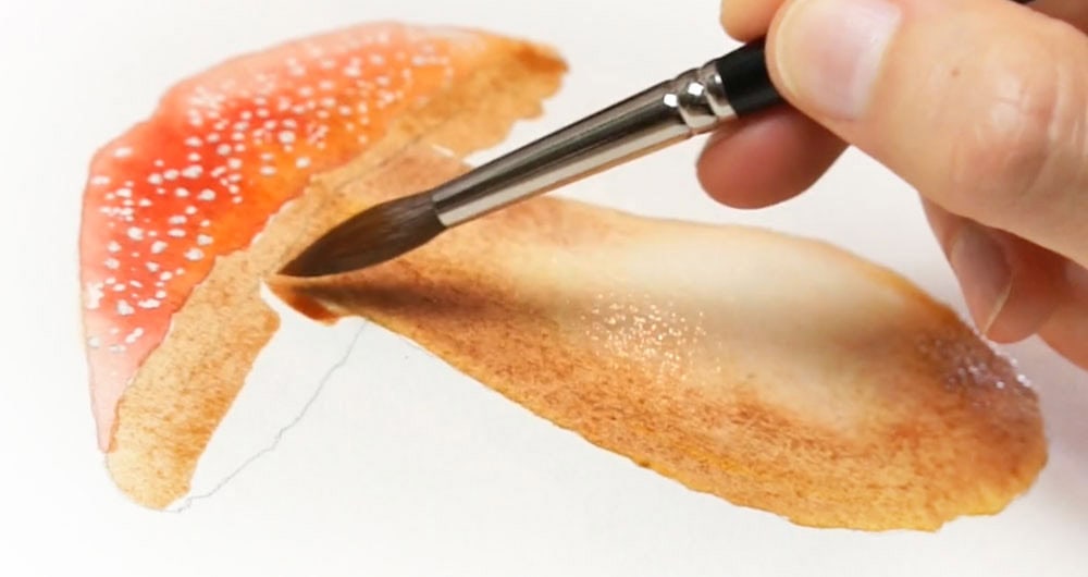 How to Paint a Mushroom in Watercolor watercolor tutorial for beginners