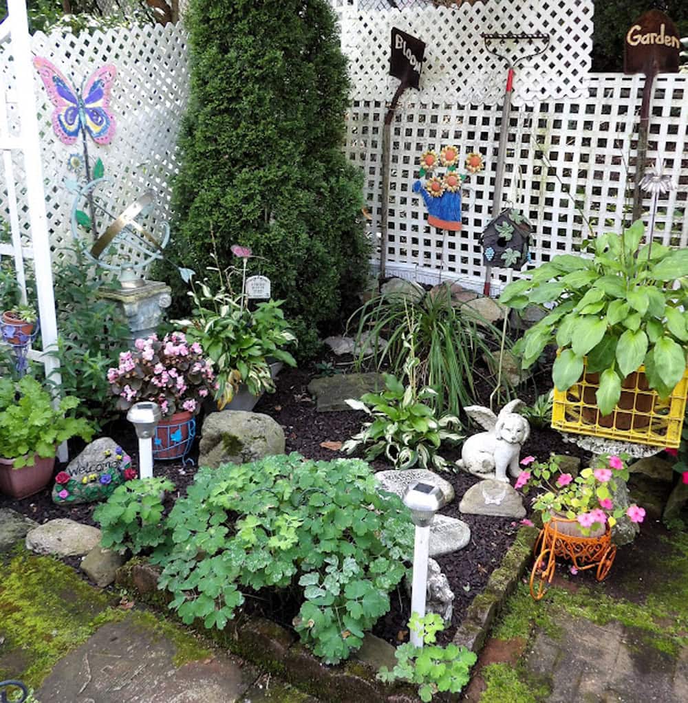 Cottage Garden Update featured in A Morning Cup of Joe